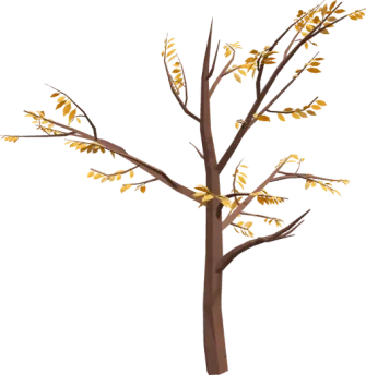 Autumn Maple