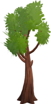 Grand Oak